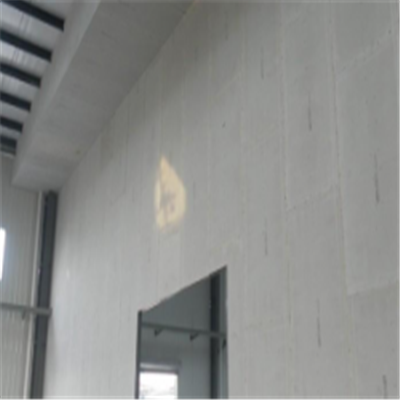 雁塔宁波ALC板|EPS加气板隔墙与混凝土整浇联接的实验研讨